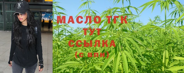 твердый Богородицк