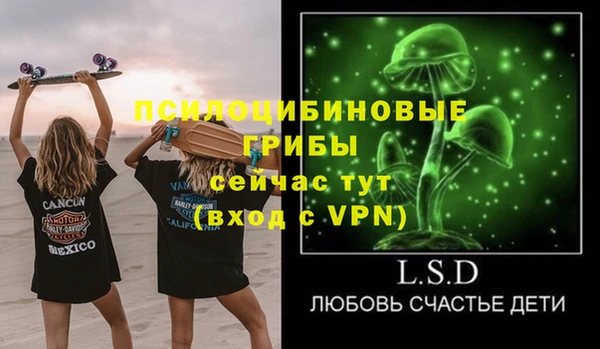 стаф Беломорск