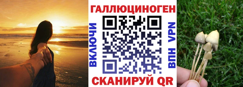 цены   Бирюсинск  Псилоцибиновые грибы Psilocybine cubensis 
